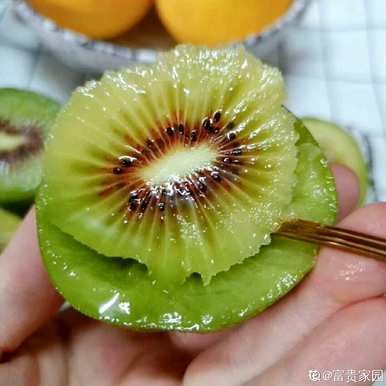 如何种植猕猴桃树，如何种植猕猴桃树