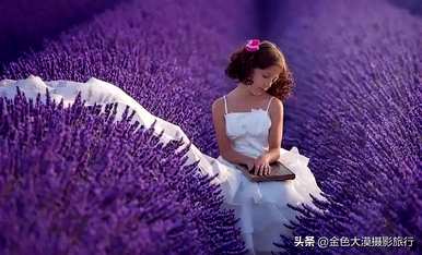 什么季节薰衣草开花，杭州熏衣草开花时间？