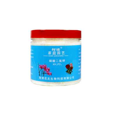 如何补救文竹黄叶，如何补救文竹黄叶？