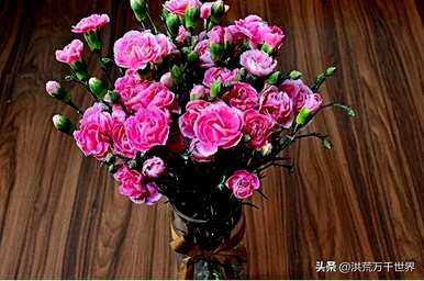 夏天常见的花名，夏天常见的花名是什么？