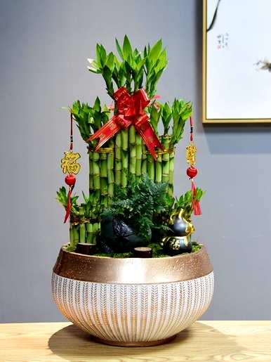有毒花有哪些品种，花有哪些品种？