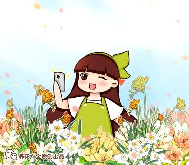 花店里的百合花是什么品种，百合花品种的全图和各称