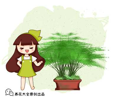 如何修剪文竹黄，如何修剪文竹好看