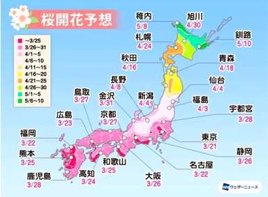 日本国花是菊花还是樱花，日本国花樱花的寓意