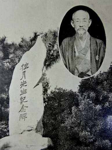 日本国花是菊花还是樱花，日本国花樱花的寓意