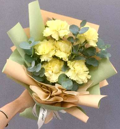 什么是康乃馨花语？11朵康乃馨花语