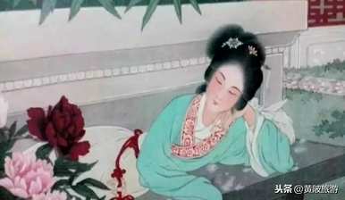 牡丹花语是什么意思？重瓣牡丹花语和寓意是什么？