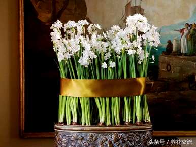 冬天什么样的花开得最茂盛，冬天开什么样的花？