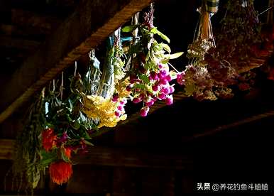 插鲜干花的瓶子里要放水吗？插瓶的干花要加水吗？