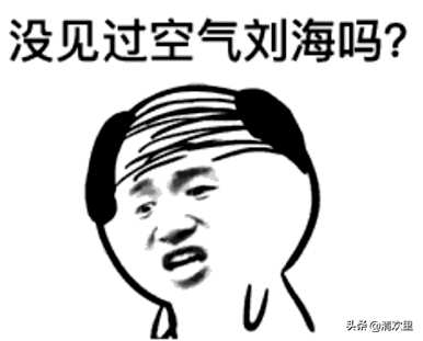 天堂鸟和蒲公英花语，童年回忆蒲公英花语