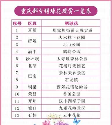 绣球花的起源在哪里？
