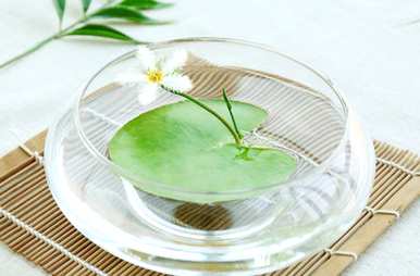 什么是适合客厅的水生花卉和水生花卉植物？