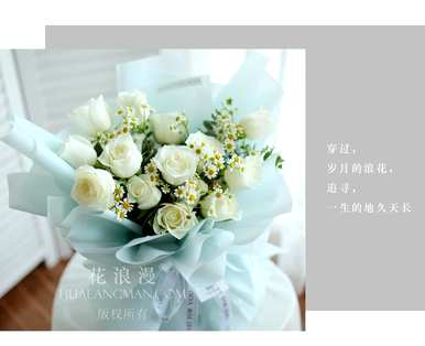白玫瑰是什么意思，白玫瑰是什么意思？
