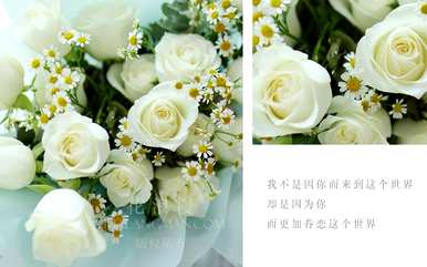 白玫瑰是什么意思，白玫瑰是什么意思？
