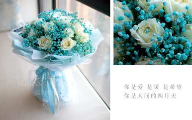 白玫瑰是什么意思，白玫瑰是什么意思？