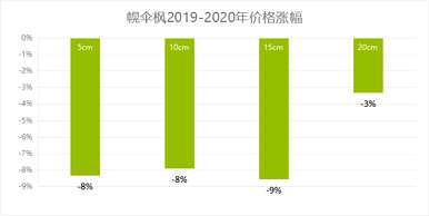 一棵伞枫多少钱？一棵伞枫多少钱？