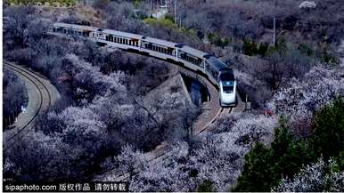 春天杏花和桃花的颜色是什么，春天杏花的颜色是什么？