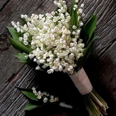 什么是铃兰花语？粉红色铃兰花语
