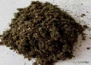 倒挂金钟怎么养才能开花？倒挂金钟不开花是什么情况？