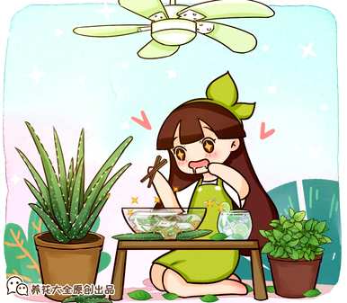 家里养薄荷好吗？如何养植物薄荷？
