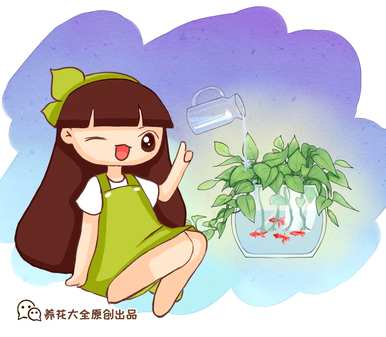 薄荷怎么养才能爆盆，薄荷怎么养才能爆盆用什么肥料？