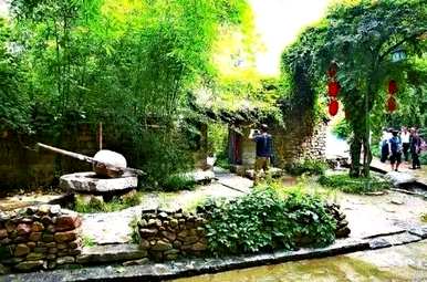 庭院大门的植物，庭院大门两边种什么植物？