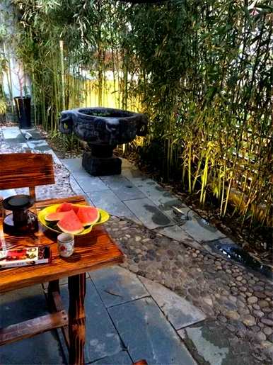 庭院大门的植物，庭院大门两边种什么植物？