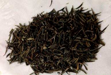 如何播种波斯菊花种子比较好，波斯菊花海播种教程