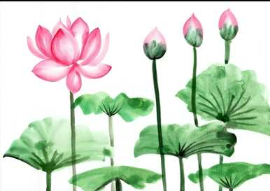 荷花壁画的寓意象征意义、花语、寓意和象征