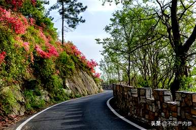 介绍杜鹃花养殖方法及注意事项