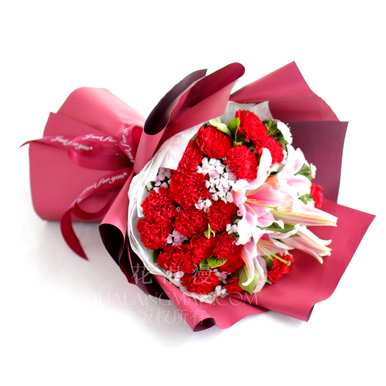 白色康乃馨花语和寓意，白色康乃馨花语和寓意