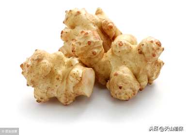 赛菊芋园林用途，赛菊芋园林用途