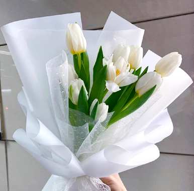 什么是白色郁金香花语，什么是郁金香玫瑰语？