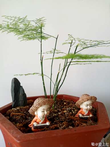 毕业后给老师送什么花，给老师送什么花