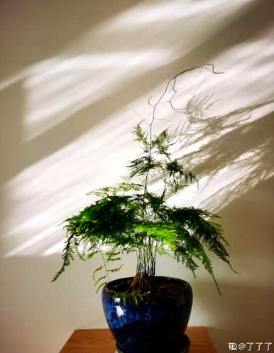 毕业后给老师送什么花，给老师送什么花