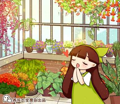 什么是生长最快的植物，什么是生长最快的植物？