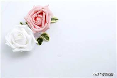 不同颜色的玫瑰代表花语，玫瑰颜色代表什么意思？