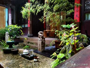 丛生紫荆如何繁殖，丛生紫荆如何繁殖