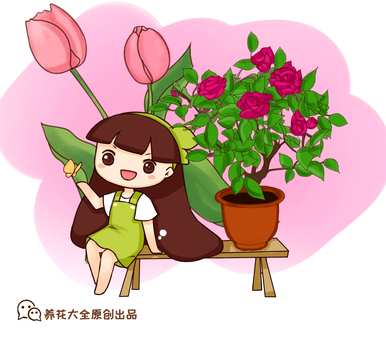 茉莉花怎么剪枝视频教程大全，茉莉花怎么养