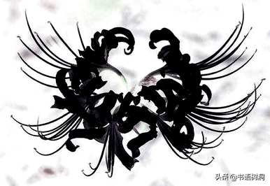 对岸花语的意思是什么，对岸花语的意思是什么？