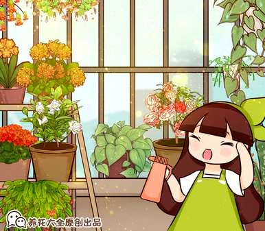 水培碗莲花怎么养，水培花有什么好养的？