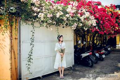 秋开的常见花有哪些，秋开的花有哪些颜色？