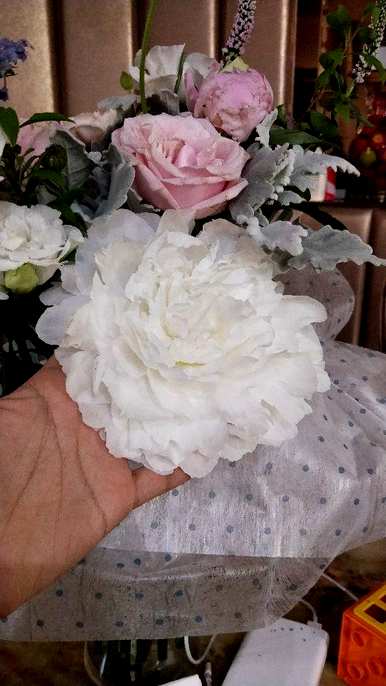 牡丹花怎么养，牡丹花怎么养？