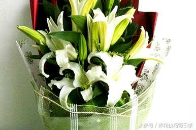 香水百合怎么养盆栽，香水百合开了怎么办？