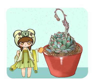 多肉浇水多久？