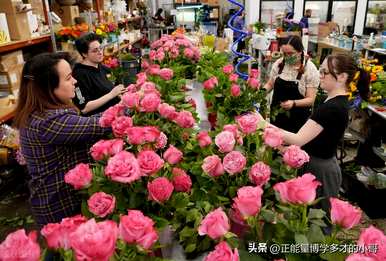 送十一朵红玫瑰有什么意义，送十一朵黄玫瑰有什么意义？