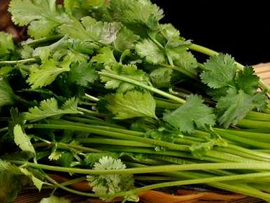 如何种植香菜，如何种植香菜，需要什么肥料才能长好？