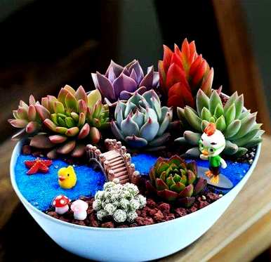 夏天多肉植物怎么浇水，夏天多肉植物怎么浇水？