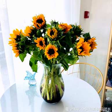 送男孩什么花寓意好，什么花适合送男孩？