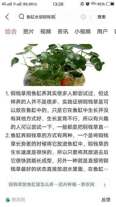 哪些花适合室内养，哪些花适合室内养，有香味的花适合室内养